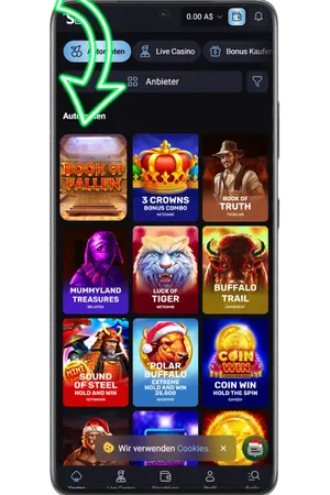 Finde den Spielautomaten Book of Fallen slot
